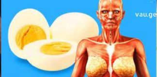 გაიგეთ რა ემართება თქვენს ორგანიზმს, როცა დღეში 2-3 კვერცხს მიირთმევთ! –