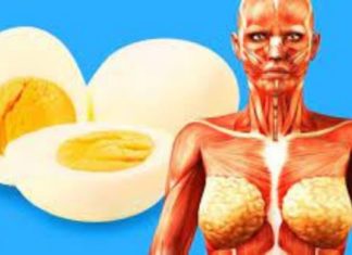 გაიგეთ რა ემართება თქვენს ორგანიზმს, როცა დღეში 2-3 კვერცხს მიირთმევთ! –