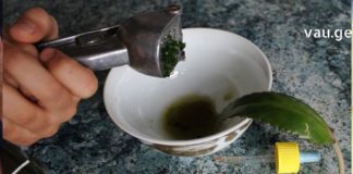 ამის ცოდნა ყველას გამოგადგებათ : თურმე კალანჰოე ვენების ვარიკოზულ გაგანიერებას შველის