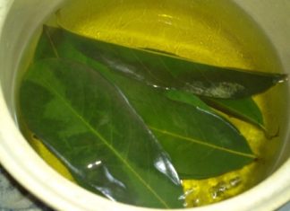 ოსტეოქონდროზის მკურნალობისას საიმედო საშუალებად გვევლინება ხალხური მედიცინა : გვთავაზობს ბალახეულ ნაყენებს !