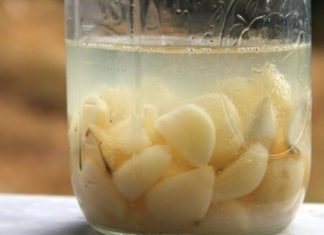 გადავწყვიტე, გასწავლოთ თქვენთვის ერთი მეტად სასარგებლო რეცეპტი – ასე მარტივად დარეგულირდება სისხლში ქოლესტერინის დონე.!