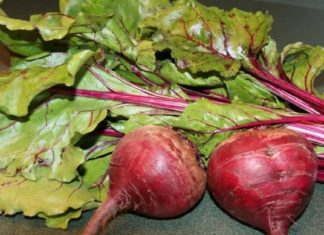 ჭარხლის ფოთლები: საუკეთესო ბრძოლის გზა ალცჰეიმერთან და ანემიასთან