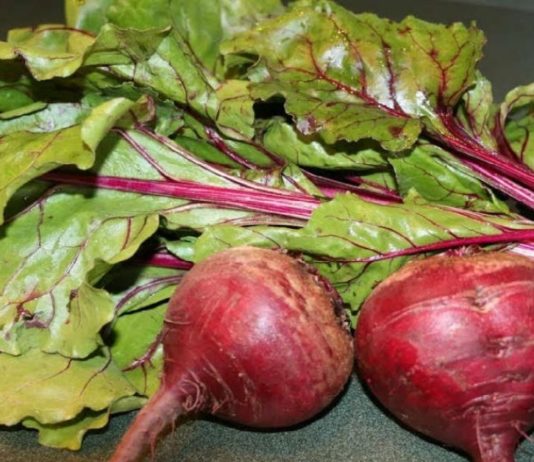 ჭარხლის ფოთლები: საუკეთესო ბრძოლის გზა ალცჰეიმერთან და ანემიასთან