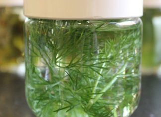 ვინც უმადობას უჩივით სასწრაფოდ მოიმარჯვეთ კამა და თეთრი ღვინო!