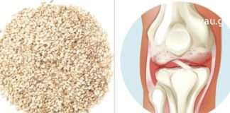 საკმარისია ეს თესლი დაამატოთ კვების რაციონს: მტკივნეულ და შეშუპებულ მუხლებს მომენტალურად აღადგენს !