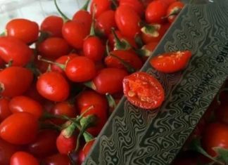 ეს კენკრა მსოფლიო ბაზრებზე ძალიან სწრაფად გამოჩნდა მას შემდეგ, რაც მის შესაძლებლობებზე დაიწყეს საუბარი.