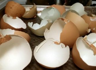 7 მნიშვნელოვანი მიზეზი, თუ რატომ უნდა გამოიყენოთ კვერცხის ნაჭუჭი ! – ნეტავ აქამდე მცოდნოდა !