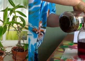 როგორ გათავისუფლდეთ სწრაფად თავის ტკივილისგან ?!: ხალხური მეთოდების 4 ვარიანტი, რომელიც ყველა თქვენგანს გამოადგება.