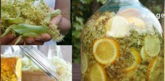 ჰიპერტონიის დროს ძალიან კარგი შედეგი აქვს ამ ნარევის მიღებას! დროში გამოცდილი წამალი, რომელიც აუცილებლად გახდება თქვენი რჩეული !