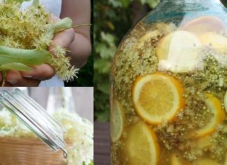 ჰიპერტონიის დროს ძალიან კარგი შედეგი აქვს ამ ნარევის მიღებას! დროში გამოცდილი წამალი, რომელიც აუცილებლად გახდება თქვენი რჩეული !