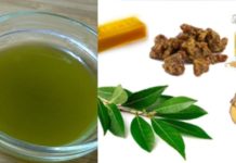 ნამდვილი აღმოჩენა : დაფნის მალამო, რომელიც არეგულირებს ფეხის ჭარბ ოფლიანობას, ხსნის კანის ძლიერ წვას, ქავილს და არასასიამოვნი ფეხის სუნს.