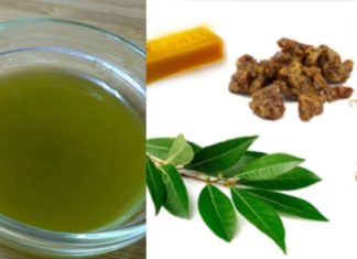 ნამდვილი აღმოჩენა : დაფნის მალამო, რომელიც არეგულირებს ფეხის ჭარბ ოფლიანობას, ხსნის კანის ძლიერ წვას, ქავილს და არასასიამოვნი ფეხის სუნს.