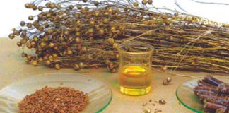 Როგორ შევაჩეროთ ყაბზობა ქლიავით, კამის თესლითა და სელით ?! შესანიშნავი მეთოდი!