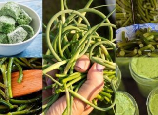 არ გადაყაროთ ნივრის ღეროები ! ბევრმა არც კი იცის მათი სარგებლობის შესახებ!გემრიელი და წარმოუდგენლად ჯანსაღი!