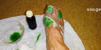 განმაცვიფრებელი თვისებებით მდიდარი ეს მცენარე იზრდება თქვენს სახლში: ისწავლეთ მისი სწორად გამოყენება!