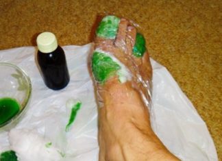 განმაცვიფრებელი თვისებებით მდიდარი ეს მცენარე იზრდება თქვენს სახლში: ისწავლეთ მისი სწორად გამოყენება!