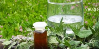 შევინარჩუნოთ ჯანმრთელობა ხანდაზმულ ასაკშიც – მეთოდი რომლის ეფექტურობაშიც ეჭვს ვერ შეიტანთ..