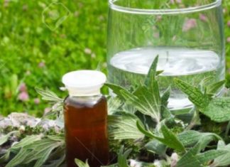 შევინარჩუნოთ ჯანმრთელობა ხანდაზმულ ასაკშიც – მეთოდი რომლის ეფექტურობაშიც ეჭვს ვერ შეიტანთ..