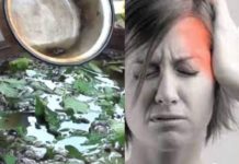 სასიამოვნოდ გაგაოცებთ ამ საშუალების ძლიერი შაკიკის საწინააღმდეგო თვისებები და მყისიერი ეფექტი!