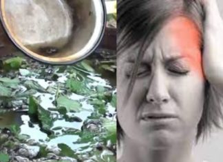 სასიამოვნოდ გაგაოცებთ ამ საშუალების ძლიერი შაკიკის საწინააღმდეგო თვისებები და მყისიერი ეფექტი!