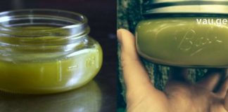 ბუნების საჩუქარი, რომელიც კურნავს თითქმის ყველაფერს: წიწვოვანთა ფისისგან დამზადებული უნიკალური მალამო!