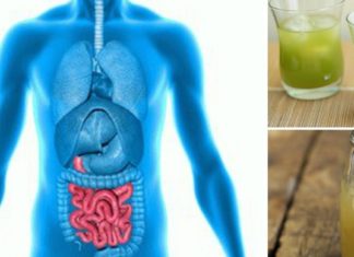 გაიწმინდეთ თირკმელები და ორგანიზმის სითხეები ამ ფასდაუდებელი პროდუქტით! მის შესახებ ყველამ უნდა იცოდეს!