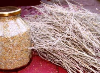 გაგიზიარებთ იმ პროდუქტთა ჩამონათვალს, რომლებიც სრაფად ათხელებს სისხლს და გამორიცხავს თრომბის რისკს!