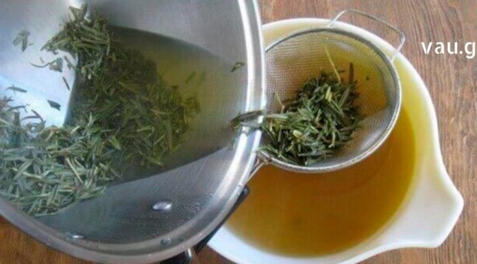 დაბერების პროცესს ვერ შევაჩერებთ, მაგრამ შეგვიძლია დამხმარე ძალებით შევანელოთ ეს პროცესი – სახლში მომზადებული სამკურნალო საშუალებები, რომლებიც ყველამ უნდა სცადოს!