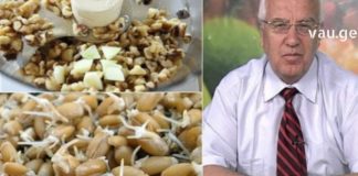 ეს უნიკალური კომბინაცია კურნავს მთელს სხეულს : ასუფთავებს საჭმლის მომნელებელ ტრაქტს პათოგენური მიკროფლორისგან. ზრდის ტვინის აქტივობას და მეხსიერებას.