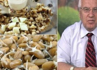 ეს უნიკალური კომბინაცია კურნავს მთელს სხეულს : ასუფთავებს საჭმლის მომნელებელ ტრაქტს პათოგენური მიკროფლორისგან. ზრდის ტვინის აქტივობას და მეხსიერებას.