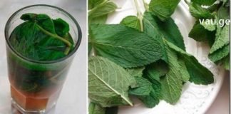 ერთი მუჭა პიტნით მარტივად გაისუფთავებთ ღვიძლს და კუჭს: ამის შემდეგ არასოდეს შეგაწუხებთ გასტრიტი!