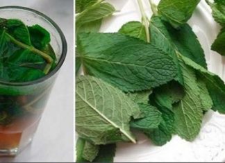 ერთი მუჭა პიტნით მარტივად გაისუფთავებთ ღვიძლს და კუჭს: ამის შემდეგ არასოდეს შეგაწუხებთ გასტრიტი!