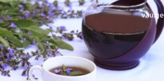 კლიმაქსის უსიამოვნო სიმპტომების გადასალახად მოამზადეთ სალბი სხვადასხვა სახით: ჩაი, ნაყენი, წვენი, ტაბლეტები.