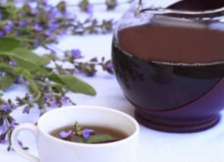 კლიმაქსის უსიამოვნო სიმპტომების გადასალახად მოამზადეთ სალბი სხვადასხვა სახით: ჩაი, ნაყენი, წვენი, ტაბლეტები.