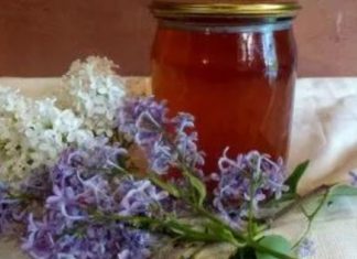 იასამნის ხმელი ყვავილებისა და ფოთლებისგან მომზადებული ჩაი უნიკალურია რევმატიზმის სამკურნალოდ!