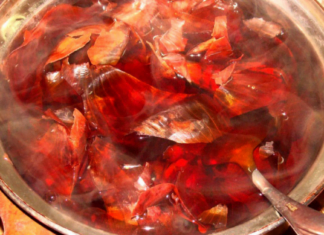 ყველა დროის მკურნალები ხახვს ვირუსებთან და ინფექციებთან საბრძოლველ უებარ საშუალებად მიიჩნევდნენ – ხახვის ჩაის უნიკალური რეცეპტი!