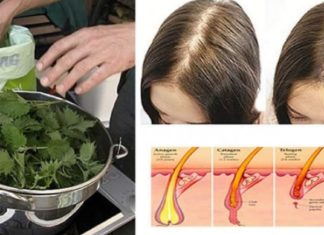 მას შემდეგ რაც ამ ნახარშის მომაზდება სისტემატურად დავიწყე თმის ცვენა საბოლოოდ შემიწყდა და უფრო გამისქელდა..