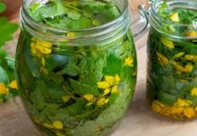 ქრისტესსისხლას უებარი ნაყენი ჩემი ოჯახის განუყოფელი ნაწილი გახდა!