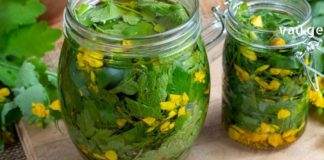 ქრისტესსისხლას უებარი ნაყენი ჩემი ოჯახის განუყოფელი ნაწილი გახდა!