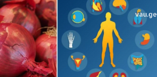 მას შემდეგ რაც ჩემმა მშობლემა სისტემატურად დაიწყეს წითელი ხახვის გამოყენება სრულიად შეიცვალა მათი ცხოვრება უკეთესობისკენ!