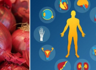 მას შემდეგ რაც ჩემმა მშობლემა სისტემატურად დაიწყეს წითელი ხახვის გამოყენება სრულიად შეიცვალა მათი ცხოვრება უკეთესობისკენ!