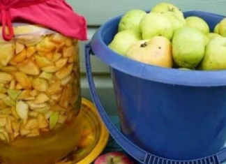 მინდა გაგაცნოთ სხვადასხვა დაავადების სამკურნალო რამდენიმე რეცეპტი ვაშლის ძმრით, რომლებსაც ბებია და ბაბუა ამზადებნენ დიდი ხნის განმავლობაში..