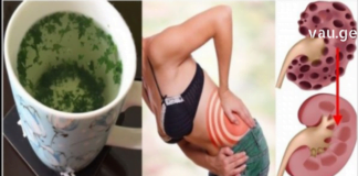 ჩემ მეგობარს თირკმელებში კენჭები ჰქონდა, მან ხალხური მედიცინის რეცეპტები ამოქექა და აღმოაჩინა საუკეთესო სამკურნალო საშუალება..