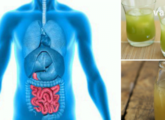 შეუდარებელი ხალხური რეცეპტები ორგანიზმიდან ტოქსინების გამოსადევნად..