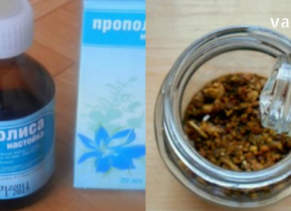 ნატურალური ანტიობიტიკი : დინდგელის წყალხსნარის გასაოცარი თვისებები..