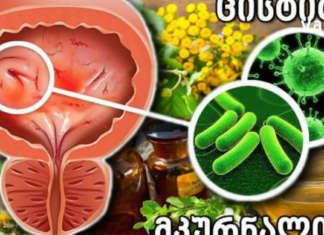 რამდენიმე წლის წინ გავცივდი და მას შემდეგ თავი ვეღარ დავაღწიე ცისტიტს -საბედნიეროდ მასწავლეს მცენარეული ნაყენი, რომელსაც საოცრება მოახდინა და განვიკურნე