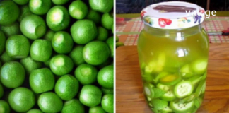 მწვანე კაკლის გამოყენების მრავალწლიანი პრაქტიკა არსებობს, რომელმაც დაამტკიცა თავისი შედეგებით, რომ მისი გამოყენება ნამდვილად სასარგებლოა.