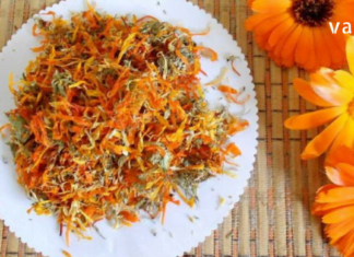 ეს განმაცვიფრებელი მცენარე კურნავს ყველაფერს: კალენდულას თვისებები ფასდაუდებელია მედიცინაში, რადგან წარმოუდგენლად ჯანსაღია.