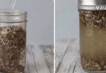 ეს შესანიშნავი კატაბალახას ფესვის ნაყენი რეკომენდირებულია ისეთი პრობლემების დროს, როგორიცაა: ხშირი თავის ტკივილები; ქრონიკული უძილობა; ნერვული დაძაბულობა; დეპრესია, ნერვული აშლილობა; თირკმელებისა და ღვიძლის დარღვევები და ა.შ.