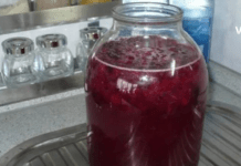 აი რა დაემართება თქვენს ორგანიზმს თუ დღესვე დაიწყებთ მოცვის ნაყენის დალევას!